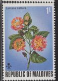 [Flowers of the Maldive Islands, type QY]