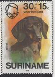 [Child Welfare - Pet Dogs, տեսակ AHF]