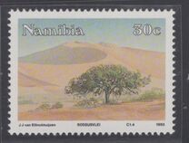 [Namib Desert Scenery, Tip BY]