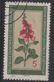 [Medicinal Plants, typ OK]