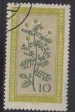 [Medicinal Plants, typ OL]
