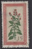 [Medicinal Plants, typ OL]