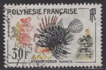 [Fish, 类型 T]