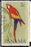 [Birds, Tip RD]