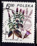[Therapeutic Plants, type CIL]