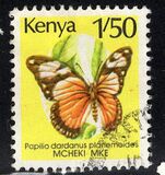 [Butterflies, tipas SO]