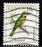[Birds, Typ VH]