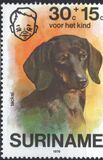 [Child Welfare - Pet Dogs, Tipi AHF]