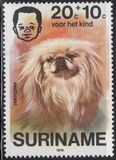 [Child Welfare - Pet Dogs, Tipi AHD]