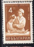 [Five Years Plan (Petoletka), タイプ AMM]