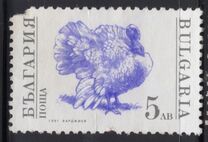 [Domestic Animals, տեսակ EKK]