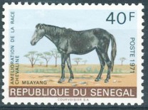 [Horse-breeding Improvement Campaign, Tip JU]