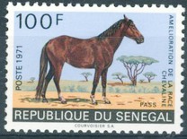 [Horse-breeding Improvement Campaign, Tip JV]