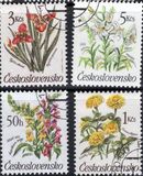 [Flowers, type CQN]