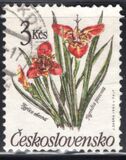 [Flowers, type CQP]