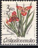 [Flowers, type CQP]