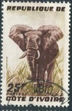 [Elephant, type AY1]