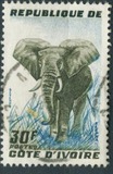 [Elephant, type AY2]