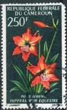 [Flowers, type HL]