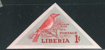 [Local Birds, type HE]