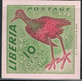[Local Birds, type HI]