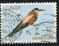 [Birds, type BJ]
