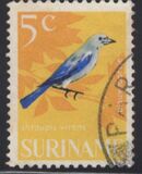 [Birds, ประเภท WG]