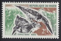 [Birds, Вид EG]