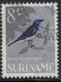 [Birds, ประเภท WI]