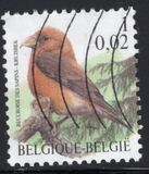 [Birds, type CIH]