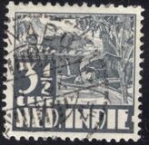 [Rice Field, Tip AI8]