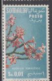 [Flora, tip BX]