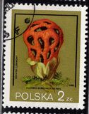 [Protected Poisonous Mushrooms, タイプ CHV]