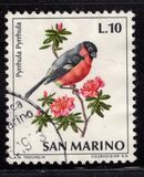 [Birds, type ZC]