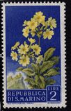 [Flowers & Monte Titano, type IX]