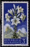 [Flowers & Monte Titano, type IY]