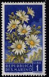 [Flowers & Monte Titano, type IW]