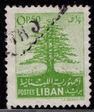 [Cedar of Lebanon,  Baalbek and Beaufort, type XDK]