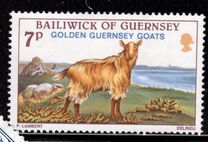 [Golden Guernsey Goats, نوع GE]