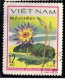 [Water Flowers, type GC]