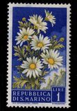 [Flowers & Monte Titano, type IW]