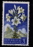 [Flowers & Monte Titano, type IY]