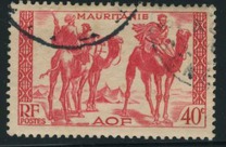 [Bedouin, typ Y]
