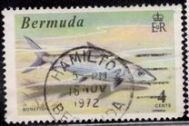 [World Fishing Records, type FM]