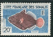 [Fish and Birds, type DC]