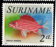 [Fish, type AGP]