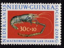 [Social Care - Crabs, Typ AJ]