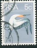 [Flora and Fauna, type NK]