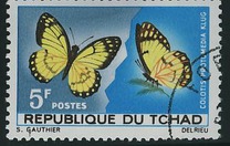[Butterflies, jenis DL]