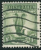 [Superb Lyrebird, Typ N]